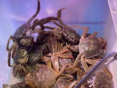 -领鲜活海鲜榴莲自助火锅(东门店)