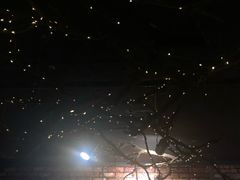 -MAX伯爵趣味互动密室逃脱(大坪D馆店)