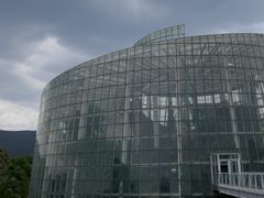 -昆明植物园