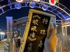 -武汉知音号