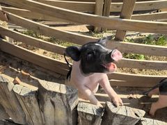 -祥源·阜阳生态乐园