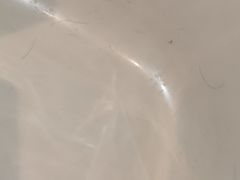 -广州白天鹅宾馆