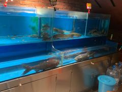 -洞庭鱼香(万科店)