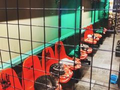 -猫咪博物馆(顶澳仔猫街店)