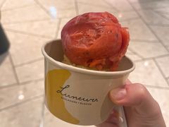 -LUNEURS月乐诗·法式冰淇淋(环贸店)