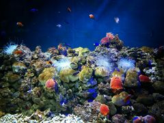 -福州罗源湾海洋世界旅游区