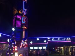 -枫花园汽车电影院(朝阳公园店)