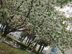 -长安大学(北校区)