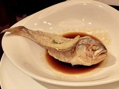 -万豪中餐厅·粤菜·北京粤财JW万豪酒店