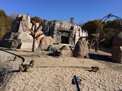 iphone_upload_pic-哈尔滨北方森林动物园