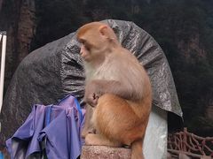 -老周炒拨拉(甘州总店)