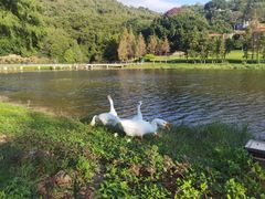 -厦门国家会计学院