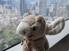 -上海明天广场JW万豪酒店