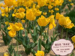 -江南大学(蠡湖校区)