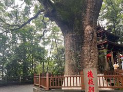 -安溪清水岩