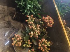 -大逸传奇·足道SPA(天美店)
