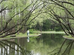 -上海共青森林公园