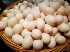 -燕郊烧鸽子(广安路店)