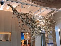 -梅花境(万科店)