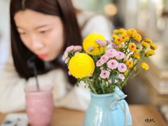 -海边的猫和咖啡馆