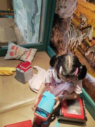 -卡通尼·Safari非洲探索乐园·生日会(金桥国际商业广场店)