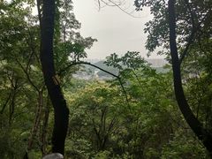 -岳麓山风景名胜区