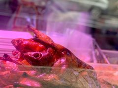 大堂-章云板鸭(评事街店)
