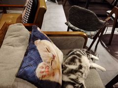 -咖法森林·咖啡  酒吧(天河店)