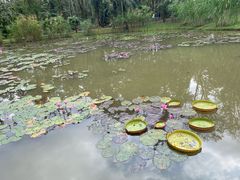 -中国科学院西双版纳热带植物园