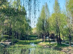 -昆山城市生态森林公园