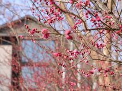 -木守西溪溪隐餐厅