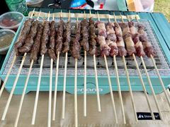 -春花秋色城市公园