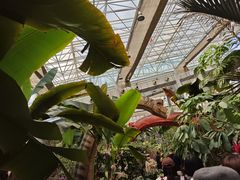 -沈阳植物园