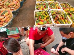 -新鸿港水果市场