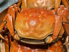 -蟹榭(静安寺晶品商场店)