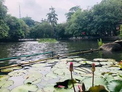 -广州莲花山旅游区