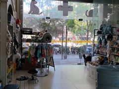 -米苏动物医院·犬猫专科·骨科外科内窥镜