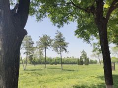 -汉长安城未央宫国家考古遗址公园