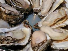 -蚝堡海鲜·威海菜·海肠捞饭·烧烤·亚洲吃蚝公司(幸福门店)
