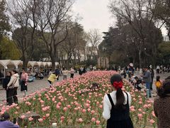 -圩墩遗址公园