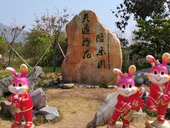 -天适樱花悠乐园