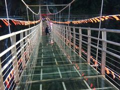 -九龙江国家森林公园