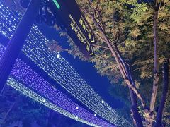 -天津意大利风情旅游区