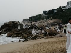 -玫瑰海岸文化旅游度假区