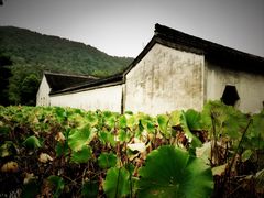 -兰亭风景区