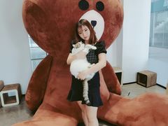 -瞄一喵猫咖(格力海岸店)