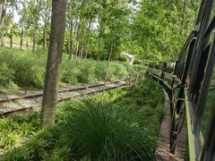 -合肥滨湖国家森林公园