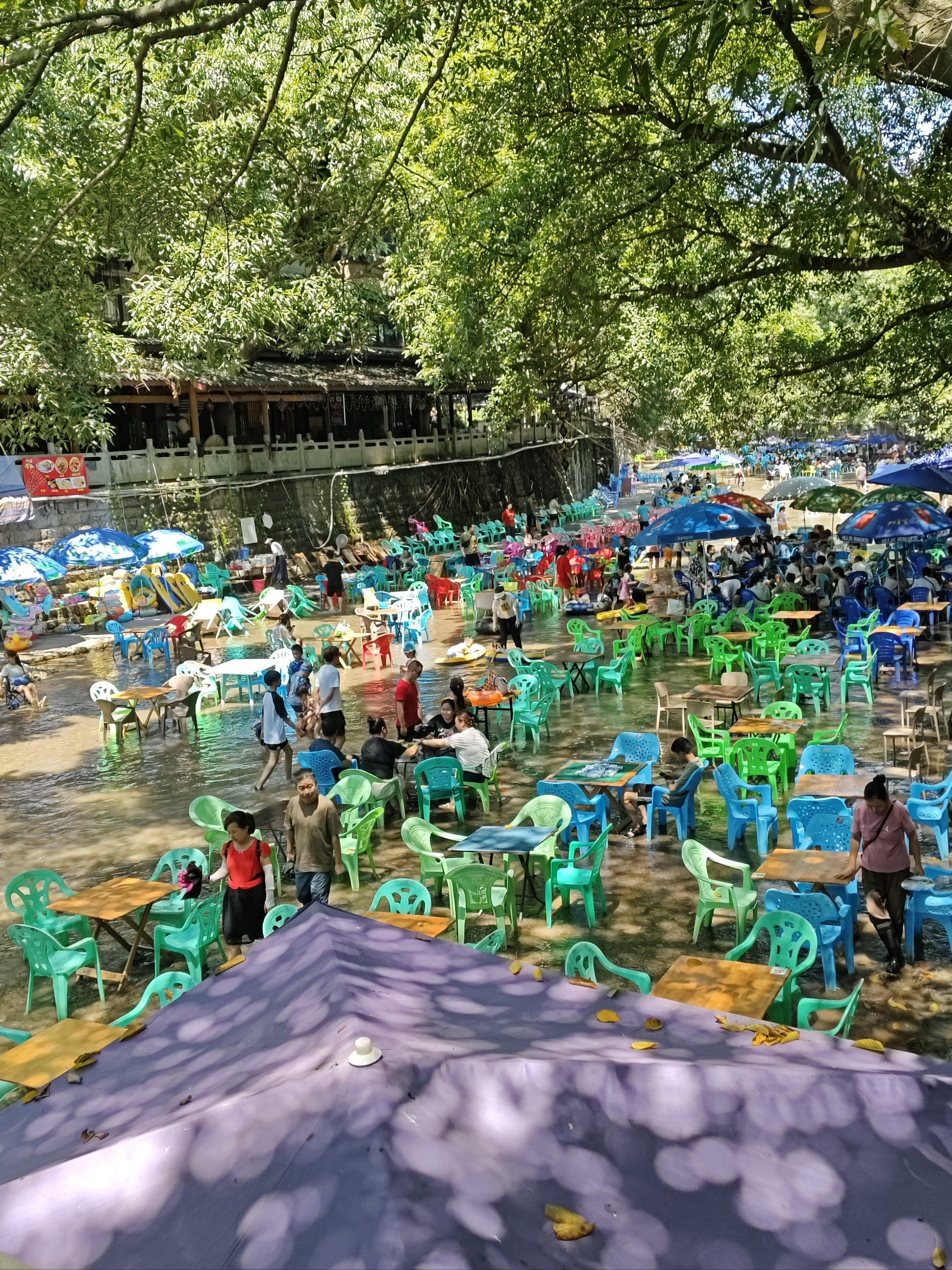 偏岩古镇天气今日情况