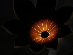 -泰尊道·纯正泰式按摩spa(包河万达店)