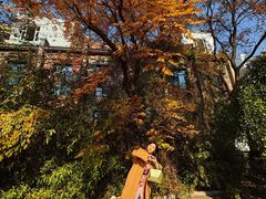 -文瀛公园